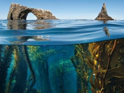 Anacapa Arch, Channel Islands National Park, California — Brayden&nbsp;Morton