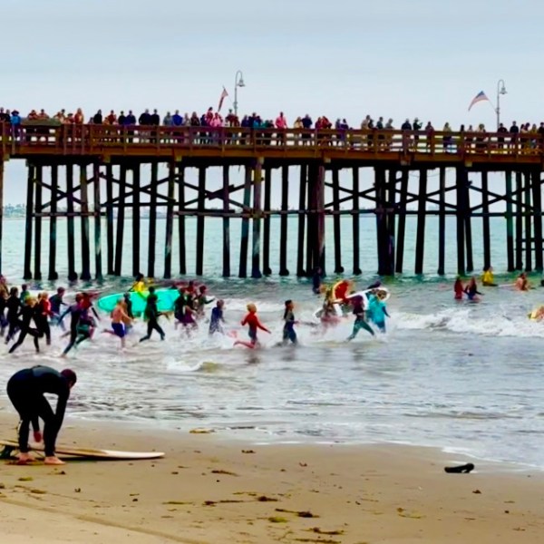 Ventura Junior Lifeguards Pier Swim: A Ventura&nbsp;Tradition
